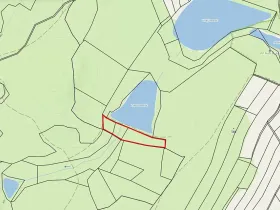 Prodej lesa, Nová Olešná, 9963 m2