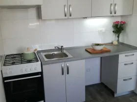 Pronájem bytu 2+1, Ostrava - Dubina, Václava Košaře, 44 m2