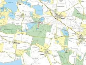 Dražba lesa, Břehov, 13807 m2