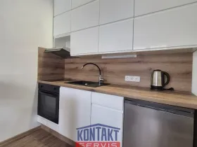 Pronájem bytu 1+kk, České Budějovice, Plzeňská, 21 m2