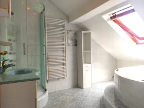 Pronájem bytu 3+1, Ostrava, Daliborova, 160 m2