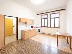 Pronájem bytu 1+1, Litvínov - Horní Litvínov, Jiráskova, 51 m2