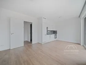 Pronájem bytu 1+kk, Praha - Chodov, Líbalova, 30 m2