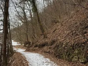 Prodej lesa, Zlatá Koruna, 2337 m2