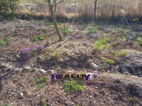 Pronájem zahrady, Kryry, 367 m2