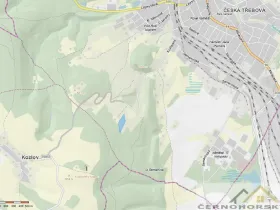 Prodej louky, Česká Třebová, 12174 m2