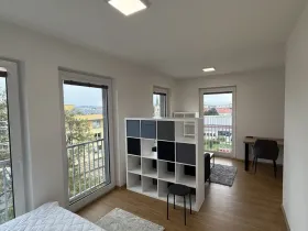 Pronájem bytu 1+kk, Přerov, Čechova, 32 m2