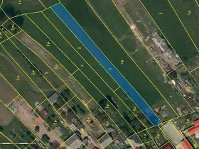 Prodej pole, Svojkovice, 1990 m2