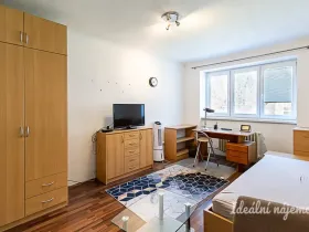 Pronájem bytu 2+kk, Praha, Novorossijská, 35 m2