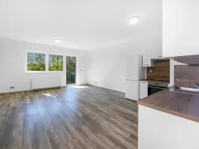 Pronájem bytu 2+kk, Plzeň - Severní Předměstí, Bolevecká, 58 m2