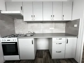 Pronájem bytu 1+1, Ostrava - Mariánské Hory, Václavská, 26 m2