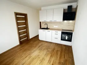 Prodej bytu 1+1, Litoměřice - Pokratice, Revoluční, 35 m2