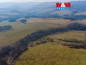 Prodej lesa, Dolní Habartice, 10293 m2
