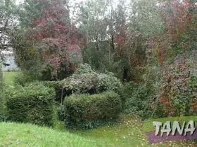 Prodej podílu pozemku pro bydlení, Mladějov, 382 m2