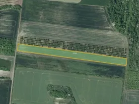 Prodej sadu/vinice, Želkovice, 8289 m2