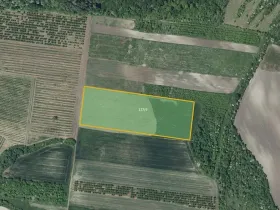 Prodej sadu/vinice, Želkovice, 25653 m2