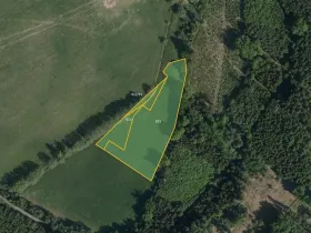 Prodej louky, Načešice, 5784 m2