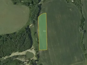 Prodej pole, Vranová, 7790 m2