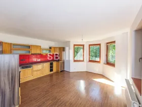 Prodej rodinného domu, Borová, 230 m2