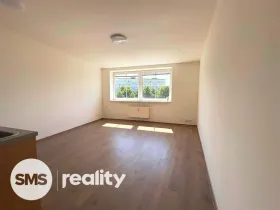 Pronájem bytu 1+kk, Opava, Hálkova, 33 m2