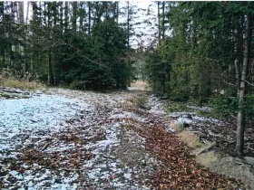 Prodej lesa, Červená Řečice, 158 m2