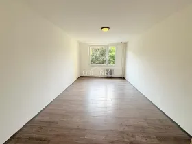 Prodej bytu 2+1, Chomutov, Holešická, 61 m2