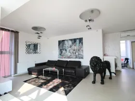 Pronájem bytu 3+kk, Plzeň, Goldscheiderova, 250 m2