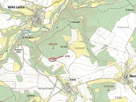 Dražba lesa, Nové Dvory, 953 m2