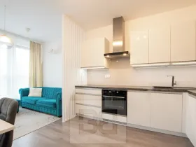 Pronájem bytu 1+kk, Beroun, Na Veselou, 44 m2