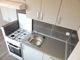 Pronájem bytu 1+1, Ostrava - Výškovice, Proskovická, 40 m2