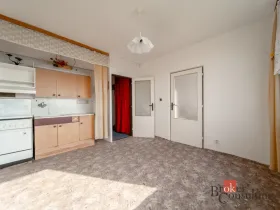 Prodej bytu 1+1, Litvínov - Horní Litvínov, Tylova, 36 m2