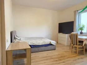 Pronájem bytu 1+kk, Tachov, Boženy Němcové, 27 m2