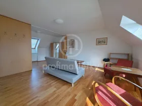 Pronájem bytu 1+kk, Bílovice nad Svitavou, Šebelova, 51 m2