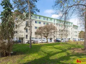 Prodej bytu 2+kk, Brno - Černovice, 61 m2