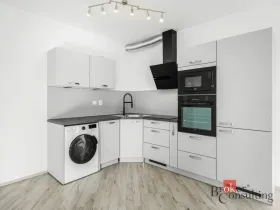 Pronájem bytu 2+kk, Plzeň - Jižní Předměstí, Železná, 52 m2