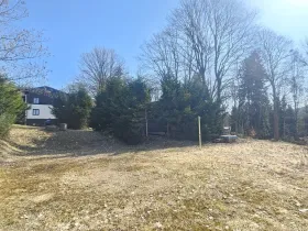 Prodej pozemku pro bydlení, Janov nad Nisou, 8231 m2