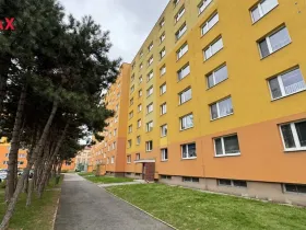 Pronájem bytu 2+1, Přerov - Přerov I-Město, Palackého, 43 m2