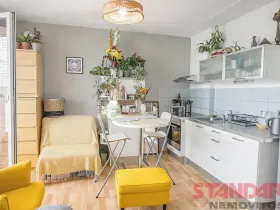 Pronájem bytu 1+kk, Plzeň, Tachovská, 34 m2