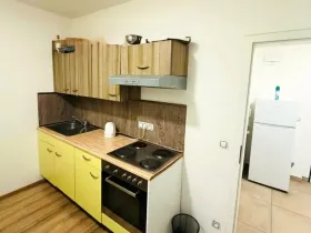 Prodej bytu 2+kk, Plzeň - Skvrňany, Kreuzmannova, 48 m2