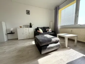 Pronájem bytu 1+1, Tachov, Želivského, 38 m2