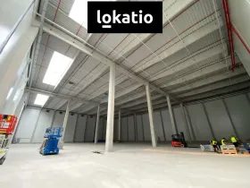 Pronájem skladu, Olomouc, 4000 m2
