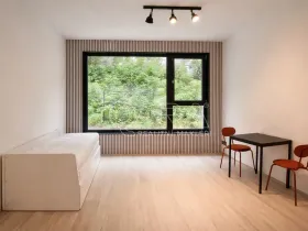 Pronájem bytu 1+kk, Praha - Hlubočepy, Na Zlíchově, 26 m2