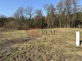 Prodej pozemku pro bydlení, Ludvíkovice, 1100 m2