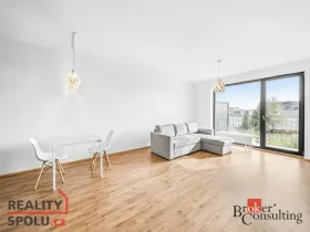 Pronájem bytu 2+kk, Plzeň - Jižní Předměstí, Železná, 60 m2