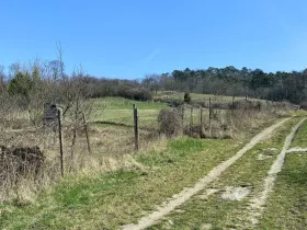Prodej zahrady, Mikulov, Nová, 537 m2