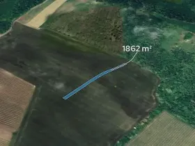 Prodej pole, Bořetice, 1862 m2