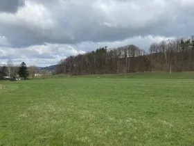 Prodej pozemku pro bydlení, Raspenava, Lužecká, 1891 m2