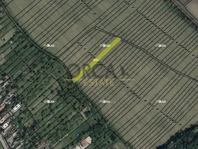 Prodej pole, Radějov, 1222 m2