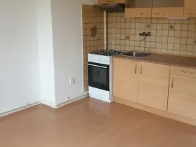 Pronájem bytu 1+kk, Novosedlice, Drahénská, 30 m2