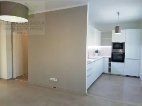 Pronájem bytu 2+1, Ostrava, Gen. Sochora, 53 m2